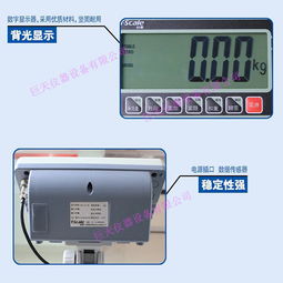 100公斤高精度電子臺秤